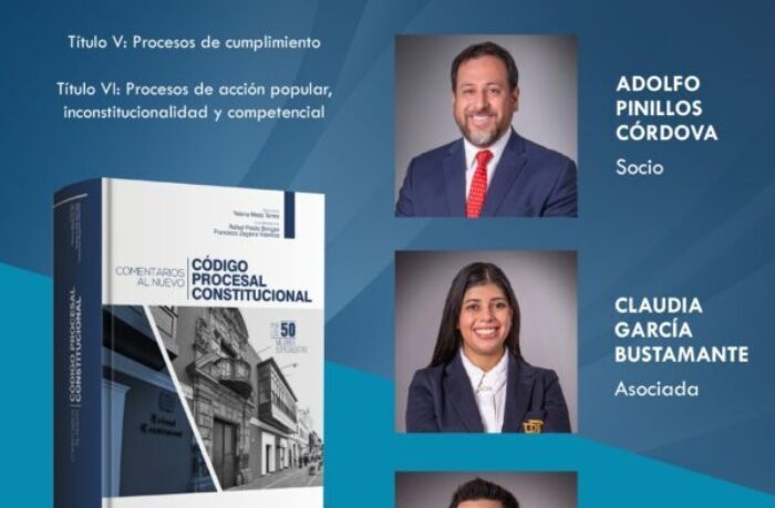 Joint work “Comentarios al Nuevo Código Procesal Constitucional”.