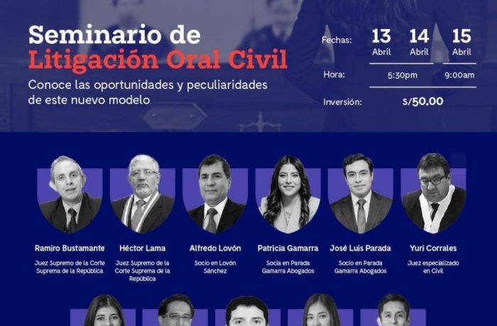 Seminario de Litigación Oral Civil organizado por Idem Educación