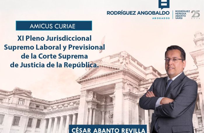 XI Pleno Jurisdiccional Supremo Laboral y Previsional de la Corte Suprema de Justicia de la República