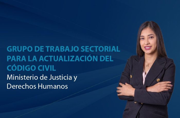 Grupo de Trabajo Sectorial Para La Actualización Del Código Civil