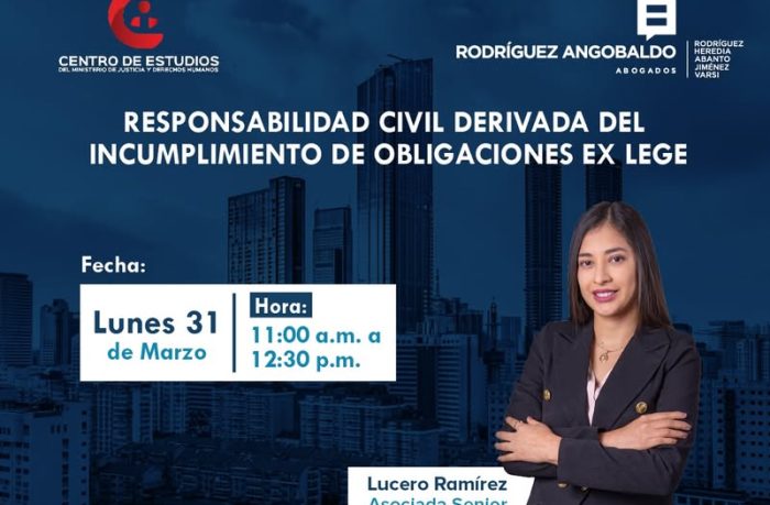 Responsabilidad civil y obligaciones ex lege
