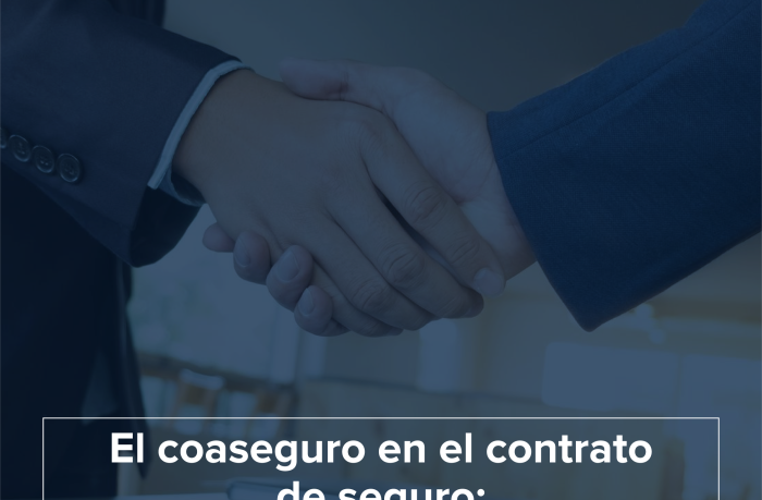 El coaseguro en el contrato de seguro: repartiendo el riesgo